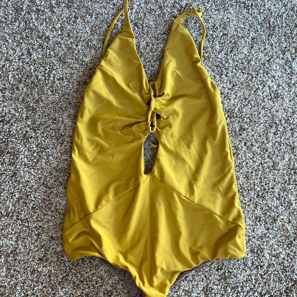 Acacia Kokomo Ochre